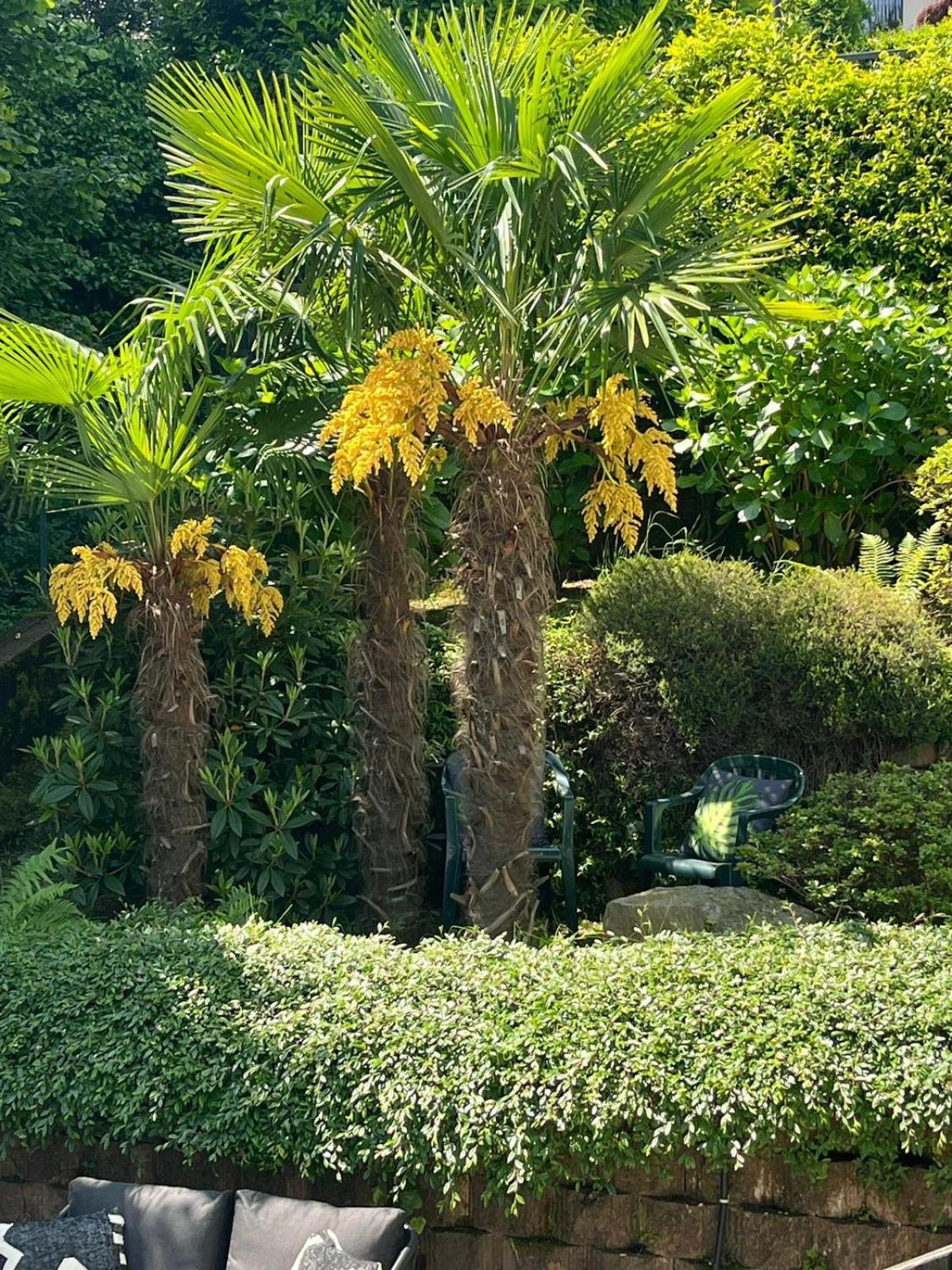 Miralago Stresa Dış mekan fotoğraf